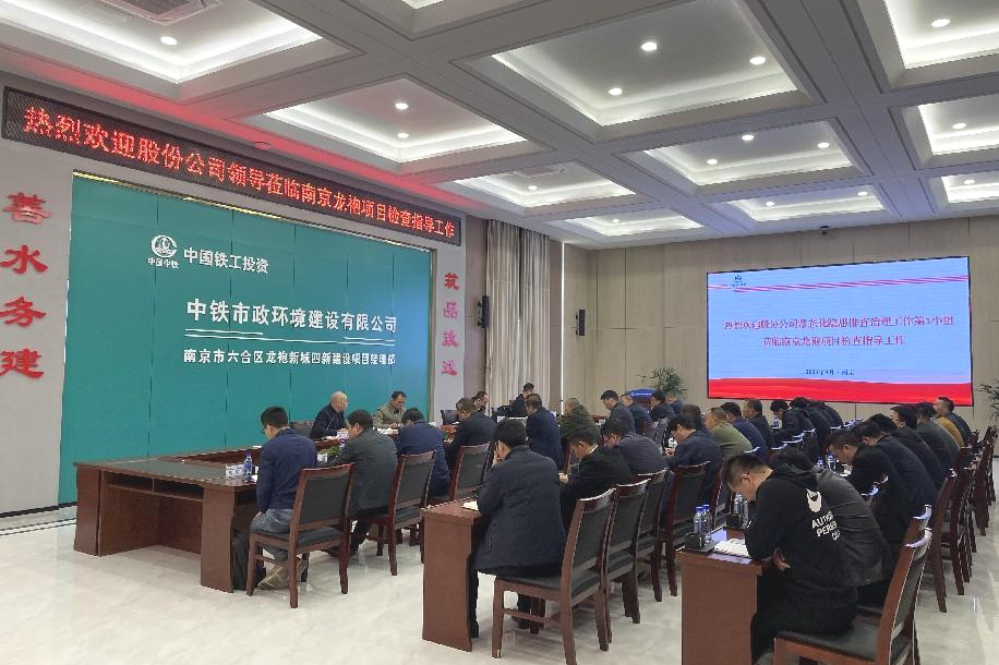 股份公司安全生產專項監督檢查組到南京龍袍新城項目檢查指導工作