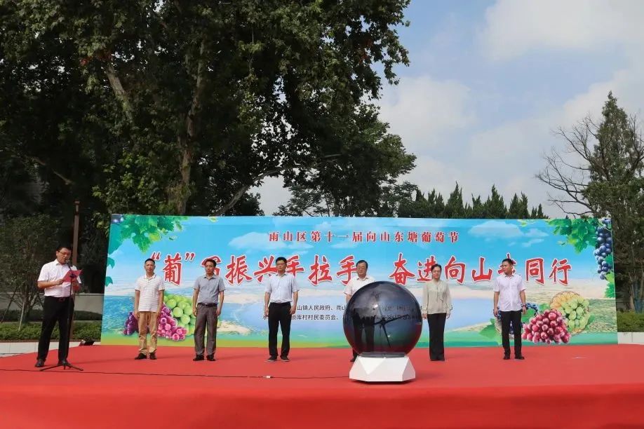 馬鞍山向山項目助力“2023年雨山區中國農民豐收節暨第十一屆向山東塘葡萄節”順利舉辦