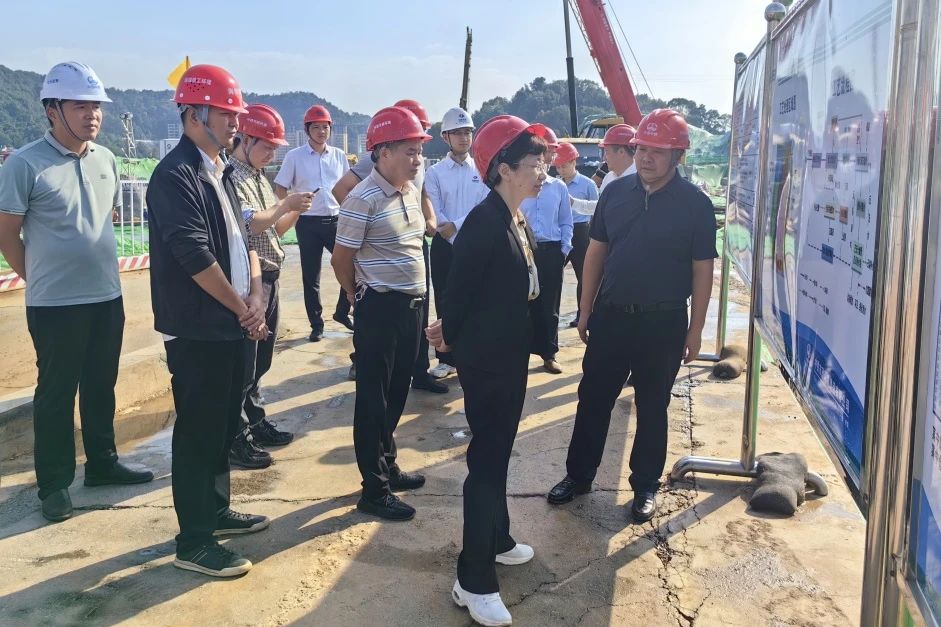 江西省生態環境廳副廳長級生態環境監察專員、贛西專員辦主任林文到萍鄉項目檢查指導工作