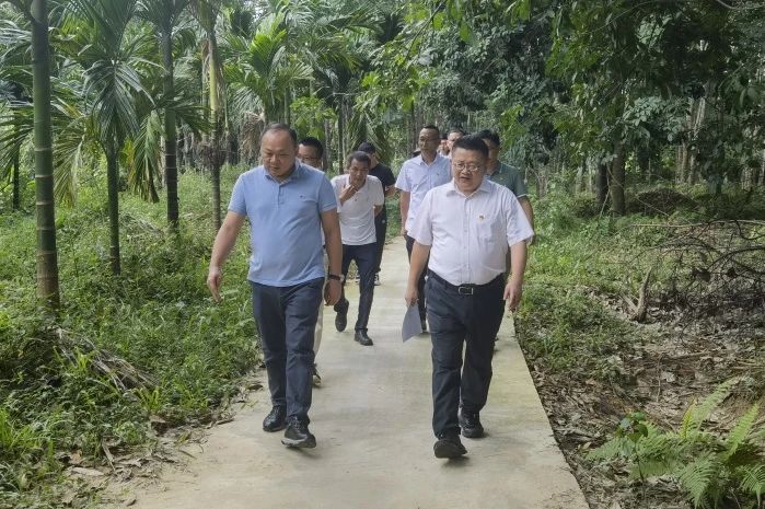 海南省定安縣人大常委會(huì)主任陳明永到海南定安項(xiàng)目檢查指導(dǎo)工作