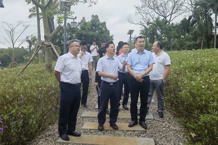 財政部海南監管局黨組書記、局長張建民到海南定安項目調研指導工作