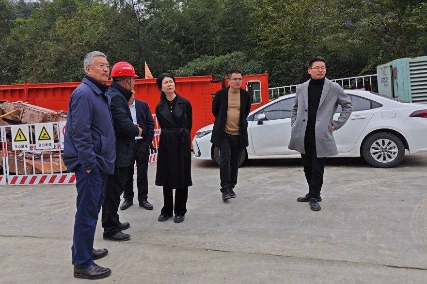 都江堰市委常委、市總工會主席羅雪梅到都江堰項目檢查指導工作