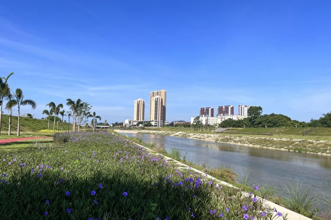 打造定安幸福河丨海南定安潭欖溪項目通過竣工驗收