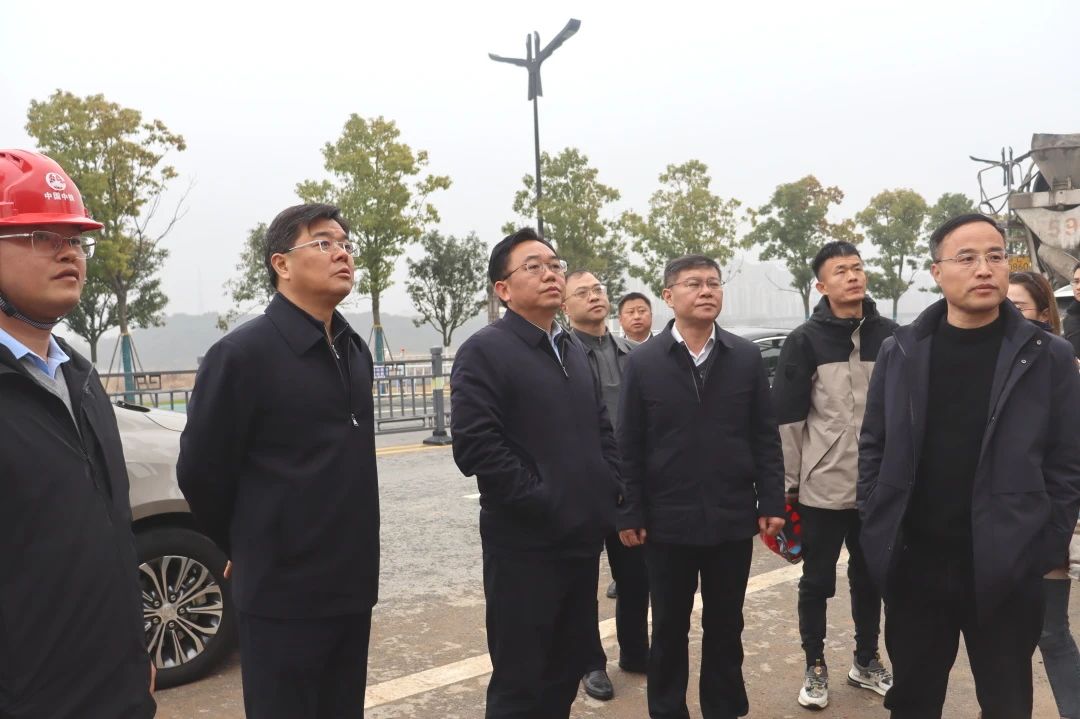 鷹潭市市長張子建到鷹潭項目檢查指導工作