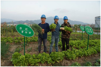 公司揭陽市污水處理廠PPP工程項目部“職工菜園”喜獲豐收