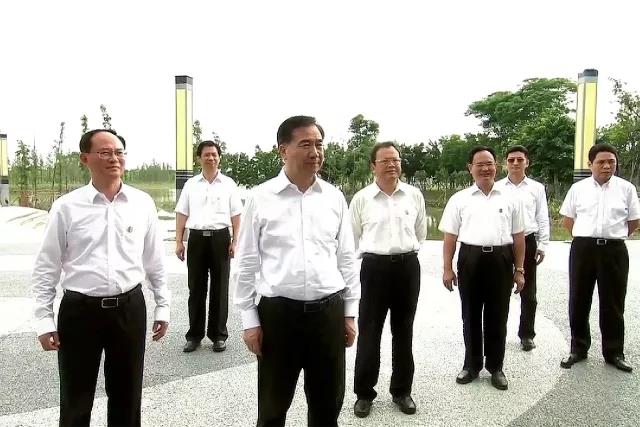 廣東省委書記李希調研鶴山沙坪河項目要求：建設優質工程營造綠水藍天?