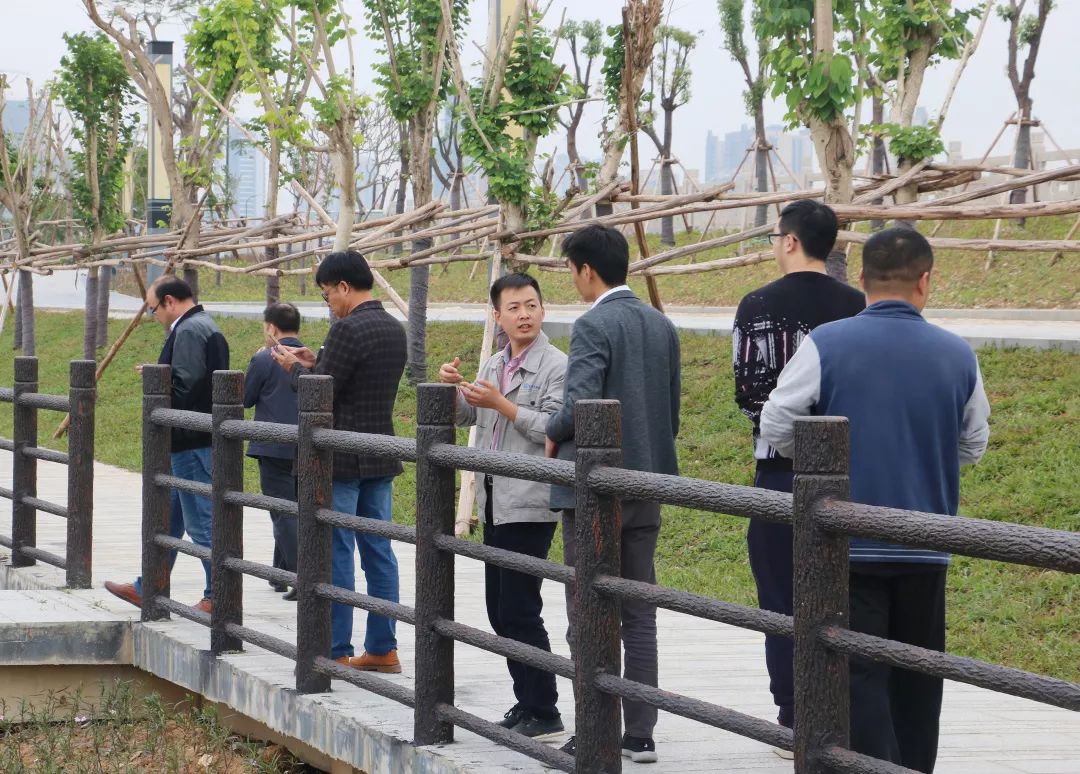 公司鶴山市沙坪河綜合整治工程南堤道路單位工程順利通過驗收