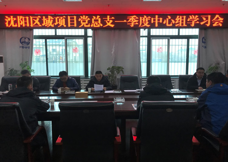 沈陽區(qū)域項(xiàng)目黨總支組織召開2019年一季度中心組學(xué)習(xí)