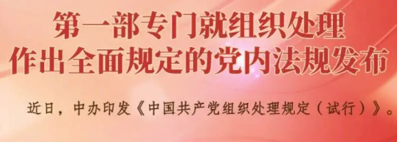 用好組織處理措施，督促干部干凈擔當