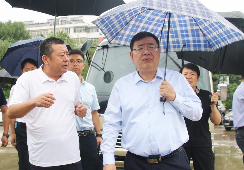 泰安市委書記楊洪濤到泰城項目泮河區域雨污分流排水管網改造工程調研