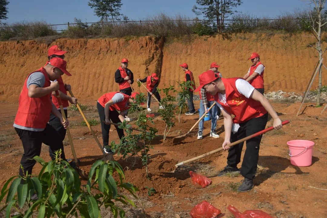 碳達峰、碳中和，從種下一棵樹開始