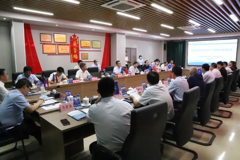 國資委安全生產專項整治第四督導組到公司南京龍袍項目檢查