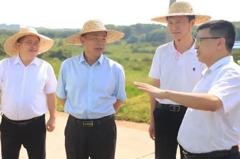 海南省人大常委會副主任肖杰到海南定安項目調(diào)研指導(dǎo)工作