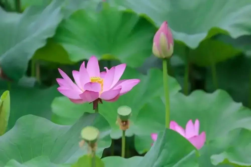 鐵工清源·清風市政 | 這個夏天，清風廉韻意正濃......