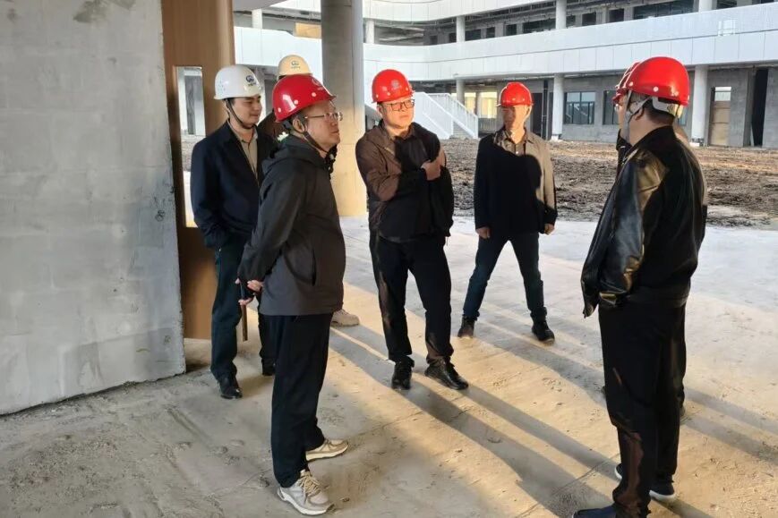 南京市六合區人大常委會副主任、龍袍新城副指揮長薛其松到南京龍袍項目檢查指導工作