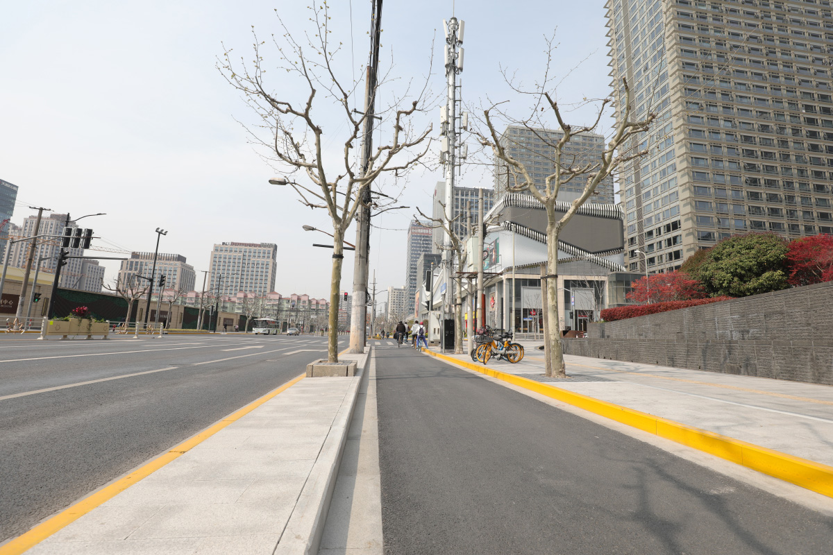 曹楊路（桃浦路-光復西路）架空線入地和合桿整治工程配套項目