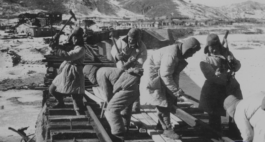 1955
